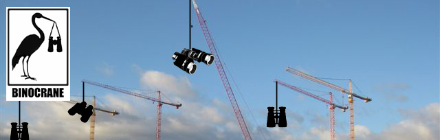 banner with logo